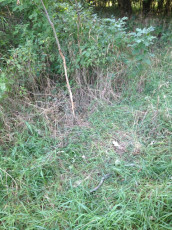 4E136CDA-BD41-4001-9DFA-80D3246F49EE