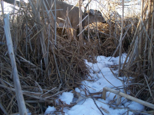 4F7CA340-1892-4B37-83C9-5BCC7C559CB4