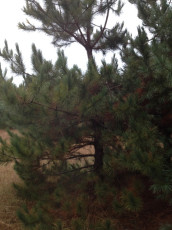 4F8B3764-34F5-4C48-8B66-A7A741C8EEF6