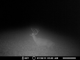 514EEE14-BD19-4F2C-A961-E6186BDB5705