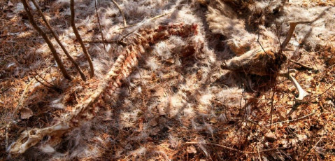 52EE144D-732B-4588-BE4D-3CB19D917821