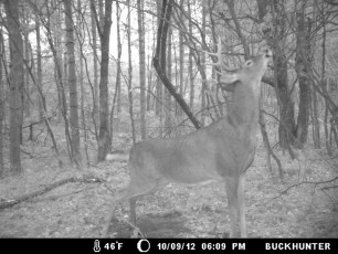 54526CF0-FB47-4F63-B172-26B45FC93369