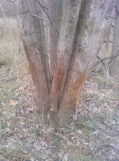 54A15461-6B7A-4831-95FB-5C1C9D325E74