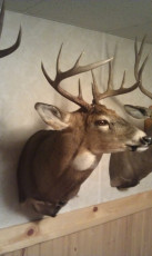 5679CC5C-16A1-4C2A-8167-A05A166330DA