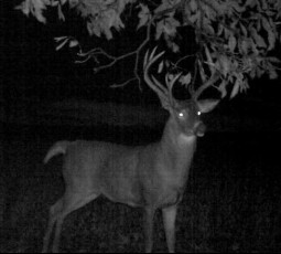 58B71806-0894-4B44-8DBA-CB9004E196BE