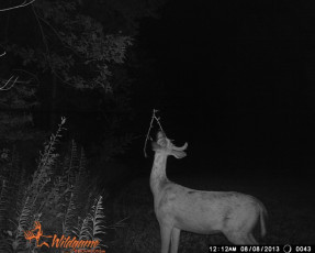 58DB0C4C-A5E9-461E-8C5E-58BD01FD7FE8