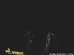 59AA1D51-31F0-4CC7-AF49-519DACEBEC24