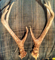 5A6E3D81-1EDE-47C6-9007-E1384A3DEC0C