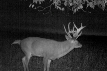 5CF7636A-5A1F-4963-AA78-F7B27DF86FB1