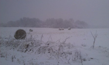 60454880-8EDF-47D1-83CC-80FCC3BE8328