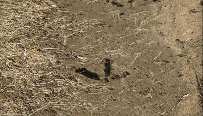 65F78801-7C4F-4798-8AD2-DB5F905F74F5