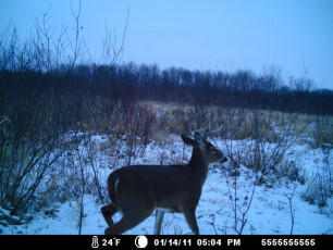 69E95AA1-BAD9-4D3D-849F-13C660032F4E