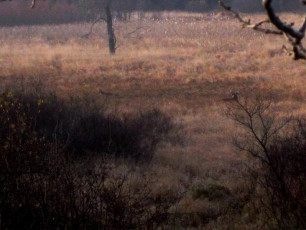 6AFF37C7-A417-4FFD-B5CD-BA60D048590E