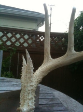 6E1FF5CA-00B4-4113-9207-901B83AEBDC3