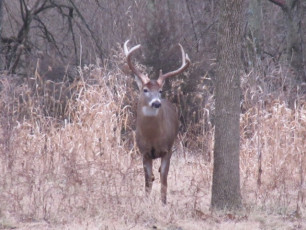 701478C1-A7C9-4C24-BDA4-C84543DA5AAB