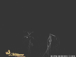 73CBC664-8449-4787-8DC4-853BB02B0F0C