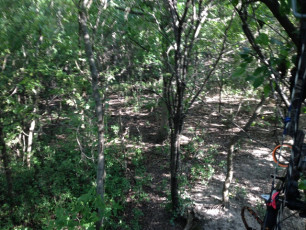 78C1B8DF-74D8-4A53-8DF3-8A98D9FCC42C