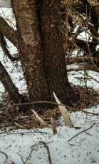 792FE50F-2EB1-4B5A-9201-0FCF76913153