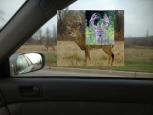 7C01C4C0-FDF4-4B66-8542-645CBD977487