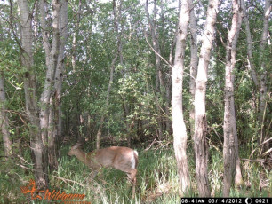 7DEF01BF-B6E4-4ED4-8A4B-DB827B09B640