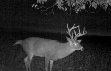 7FF69CDC-3C51-4C2E-903F-C077B37499C4