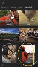 87682B2C-C1F1-4694-9BB9-D07BA6081F23