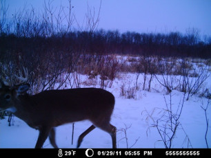 87E39EAD-C9C5-43F5-A177-0ABDF0329B64