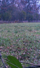 87F16484-5805-4820-B812-C1B10DD3D276