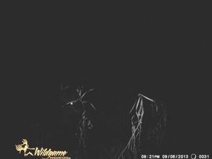 89B36B2F-09E7-4ED3-AD61-042A11F8C6BF