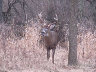 8B703BE7-F457-4E7F-8AE7-C077327A2A40