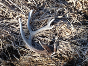 8C02CB78-1C3E-4482-A66A-3EAE6B450933