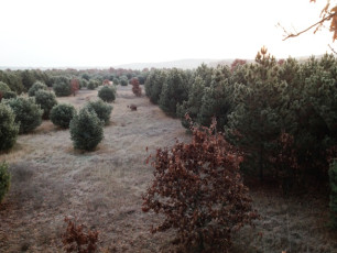 8E444F87-B340-4C0F-B8D7-C3E8DFF41624