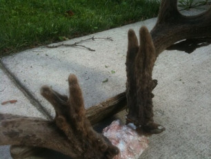 9774ED79-34CF-45DD-84C5-8948586B52ED