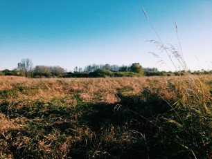 Processed with VSCOcam with c1 preset