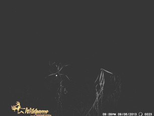 97FC5ED0-E9CF-4A3A-8D96-D26ECE3A5C02