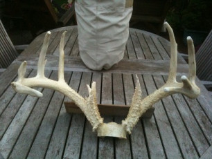 9D49D7BE-0CD7-42D1-B4DF-819309FFE48A