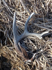 9DA40246-957B-4D19-B0AE-21B89E148D84