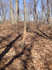 A22EEED5-9F62-49CD-BAAC-6E4D62CFB32B