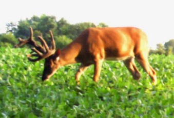 A4208D0D-2F74-48AE-B51F-CA53217E281F