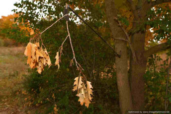 A69AE69A-8377-4B0B-81B1-4F6254D4C909