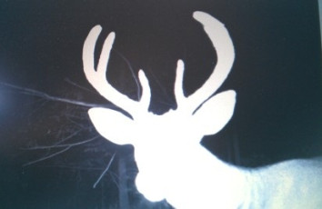 A9006ADE-B96F-4EB9-BFCF-87386454EB1C