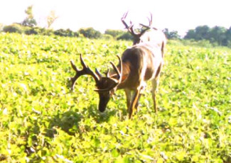 A9795C55-29A8-4493-B24C-264C96AD8B79