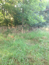 A9B86949-0C44-4B04-B3EC-6613903B97CD