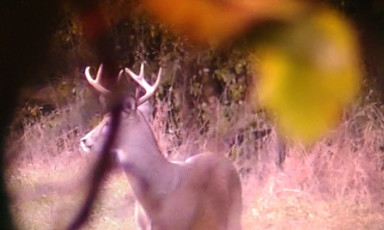 AB308169-2FF9-4F22-AF42-10498CA2C3BA