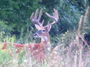 AFC83DF9-E77D-452D-9404-2B4AC350E354