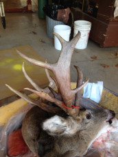 B13A73AF-3551-4472-A0F0-A6A180AF12D6