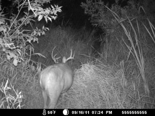 B274B9C6-7631-4B3C-9CC1-EC4933E5C65D