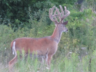 B4A90EDB-5446-4381-B839-FFEA5796984B