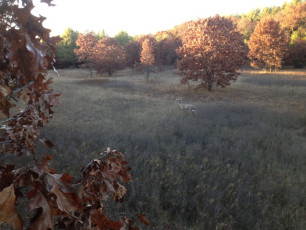 B550721A-573B-4C3B-A85C-F9C7F490A8C6