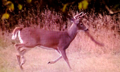 B7C5E5E5-370E-4E70-999E-451ADD87CFD6